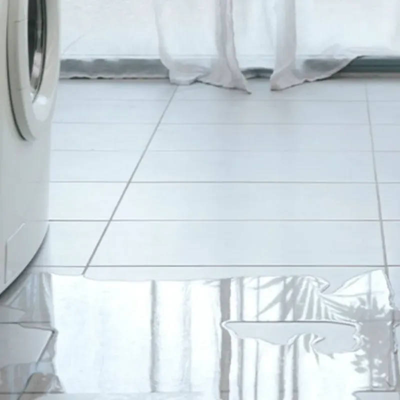 Appliance Leak Cleanup in Graysville, AL