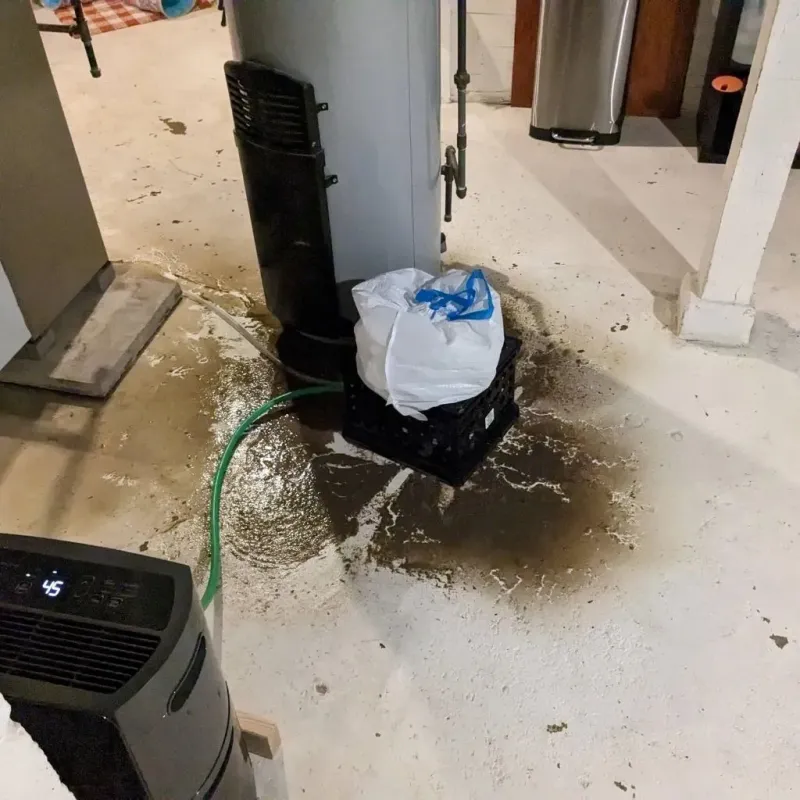 Sewage Backup Cleanup Service in Graysville, AL